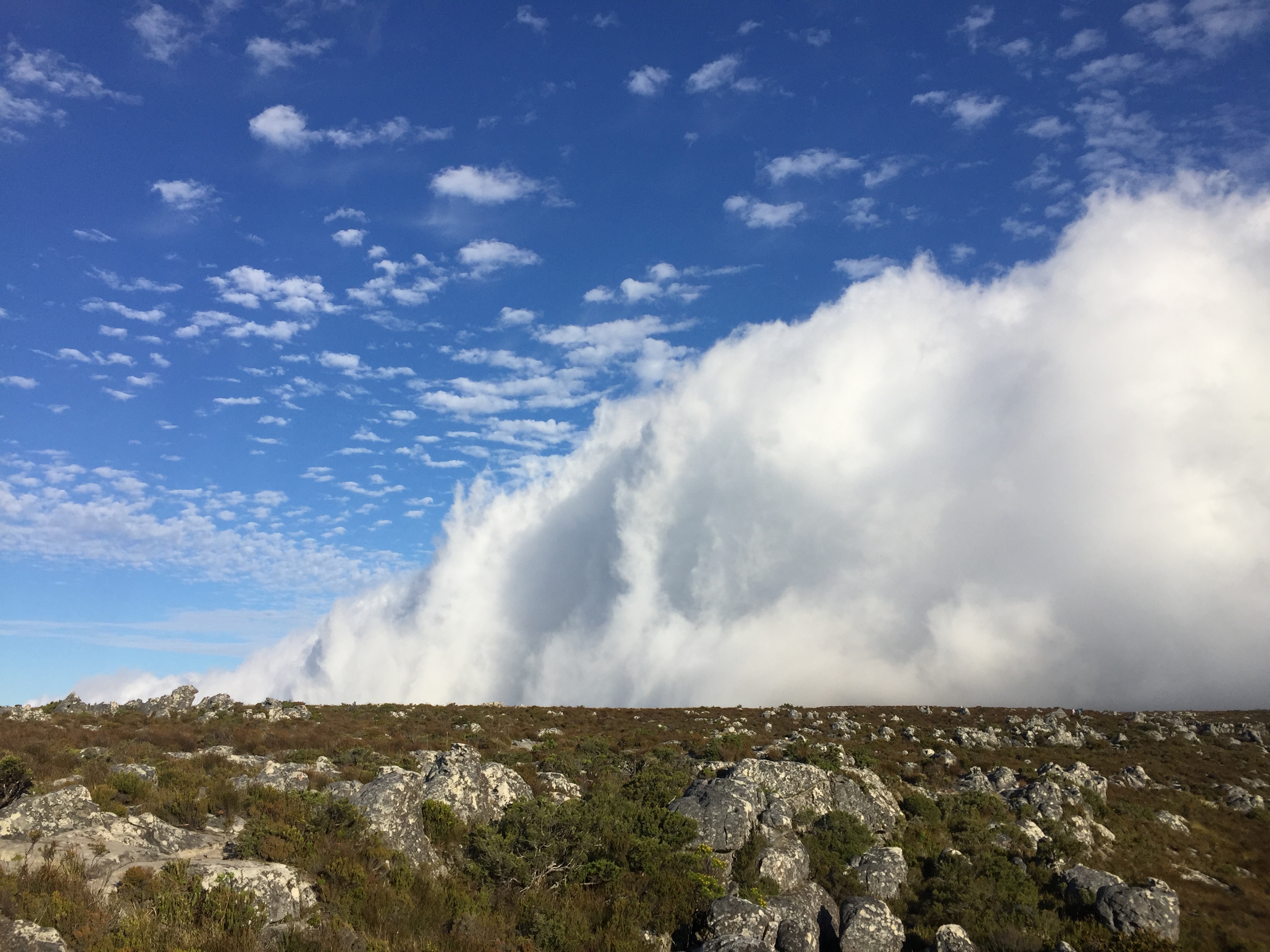 A wall of cloud on the summit of a 365 Ubuntu Climb Table Mountain